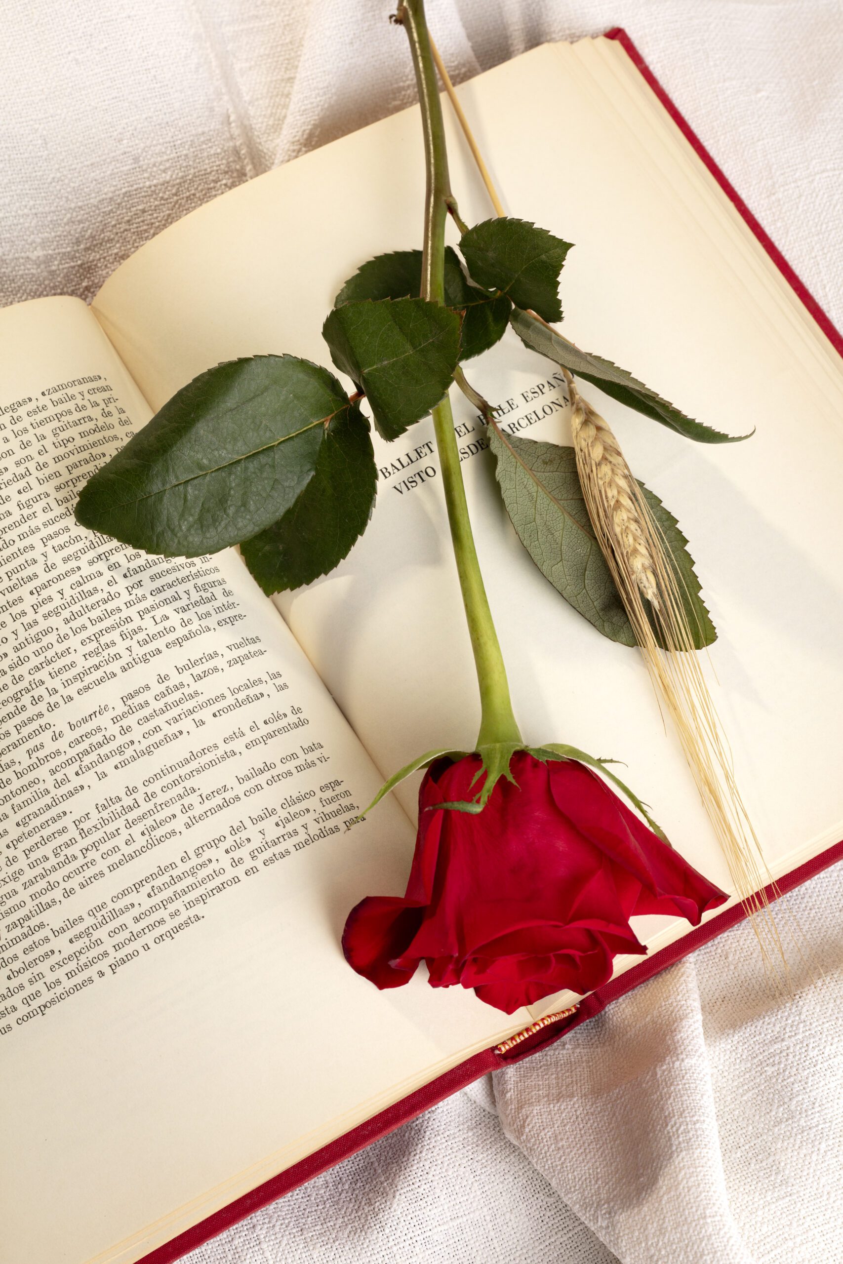 still-life-sant-jordi-day-books-roses